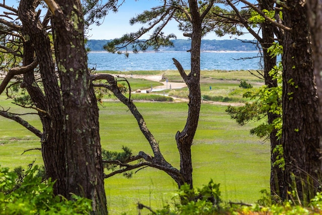 190 Meadow Ave W, Wellfleet, MA 02667 - water view