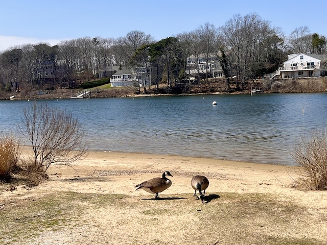 16 Edgewood Dr, East Falmouth, MA 02536 - photo 22