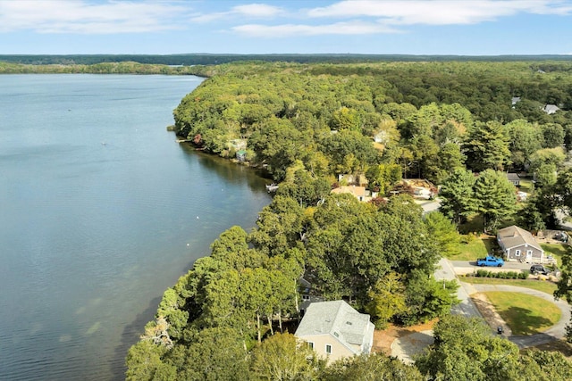 aerial view featuring a water view and a wooded view