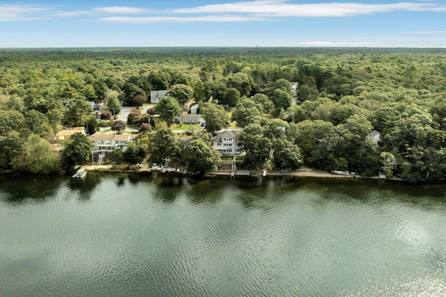 bird's eye view with a water view and a wooded view