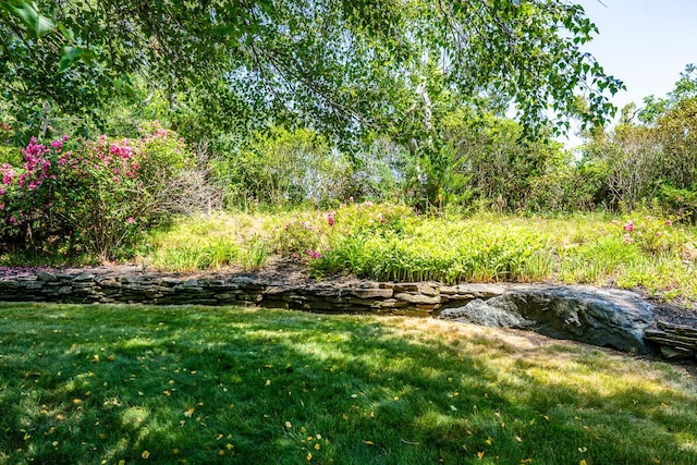 20 Quanset Rd, Truro, MA 02666 - photo 32