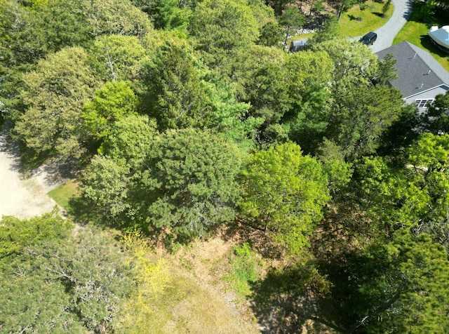 96 Waquoit Hwy, East Falmouth, MA 02536 - photo 6