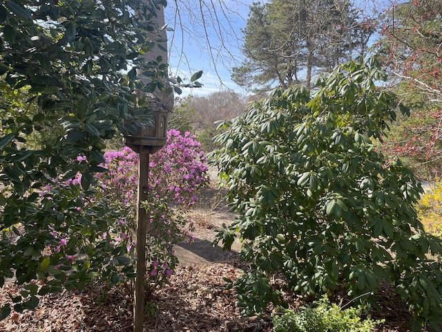 view of nature