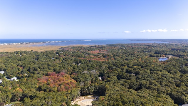 birds eye view of property featuring a water view and a view of trees