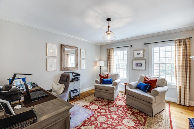 49 Atkins Rd, East Sandwich, MA 02537 - office featuring ornamental molding and light wood-type flooring