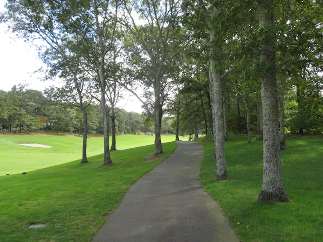 view of property's community with a lawn