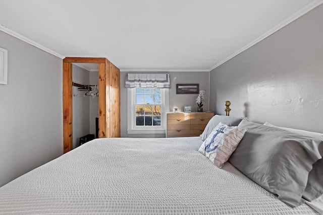 bedroom featuring a spacious closet, ornamental molding, and a closet