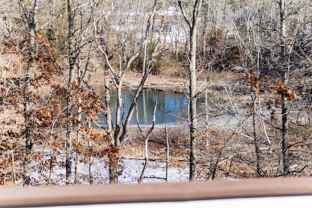 view of water feature