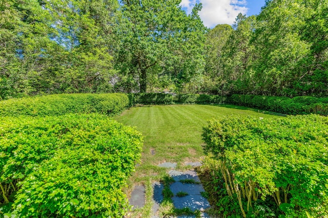 42 Towhee Ln, Orleans, MA 02653 - photo 57