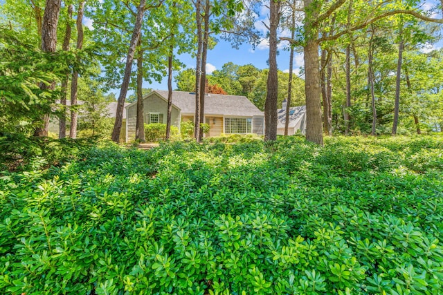42 Towhee Ln, Orleans, MA 02653 - photo 54