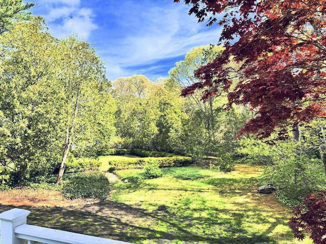 42 Towhee Ln, Orleans, MA 02653 - photo 47