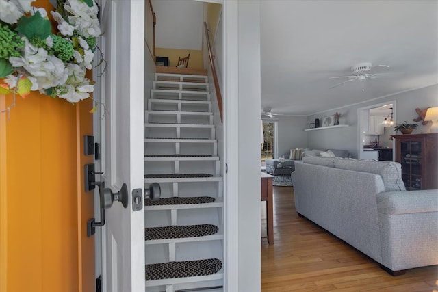 staircase with a ceiling fan and wood finished floors