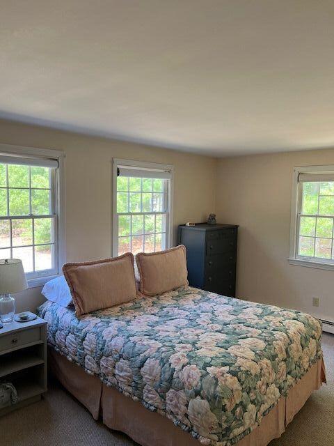 bedroom with carpet