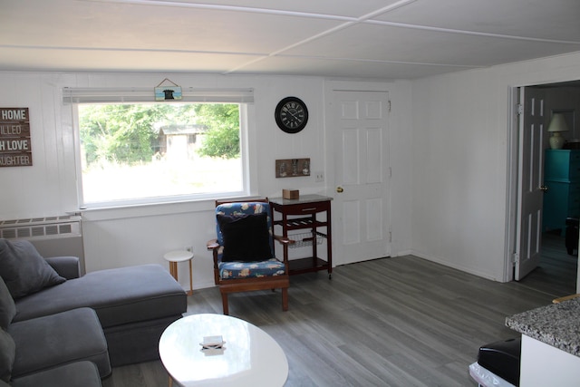 living room with hardwood / wood-style flooring and radiator