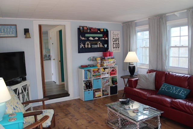 living room with dark wood-type flooring