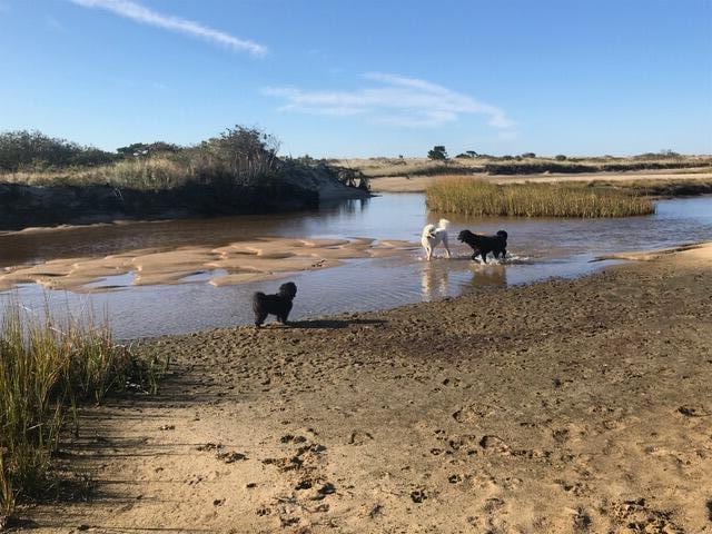 53 Highland Rd, North Truro, MA 02652 - water view
