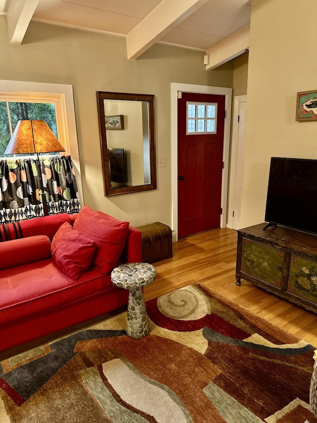 53 Highland Rd, North Truro, MA 02652 - photo 19