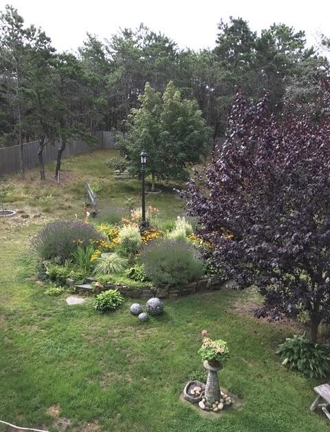 53 Highland Rd, North Truro, MA 02652 - view of yard