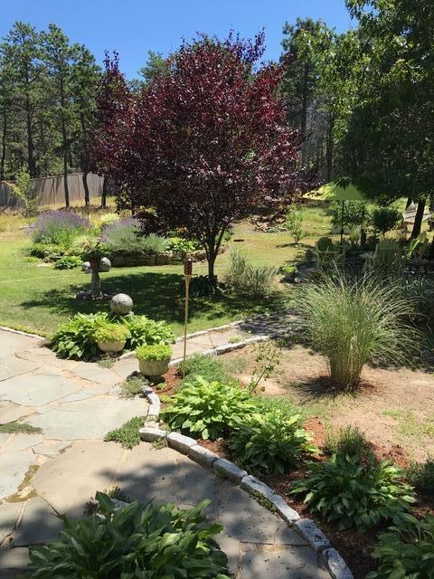 53 Highland Rd, North Truro, MA 02652 - view of yard