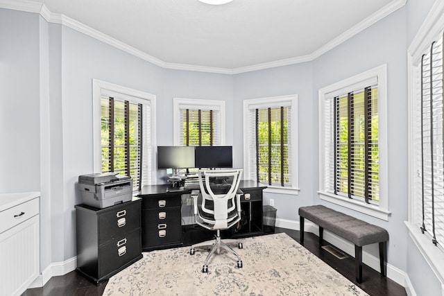 5 Bosuns Ln, Bourne, MA 02532 - office area featuring dark wood-style floors, healthy amount of natural light, and crown molding