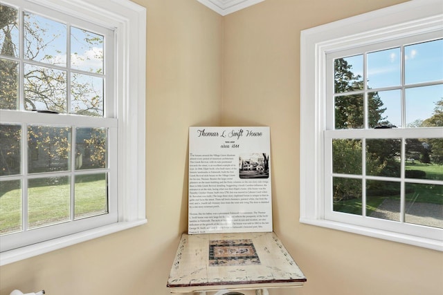 room details with crown molding