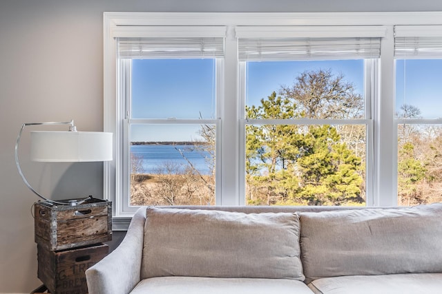 sitting room with a water view and a healthy amount of sunlight