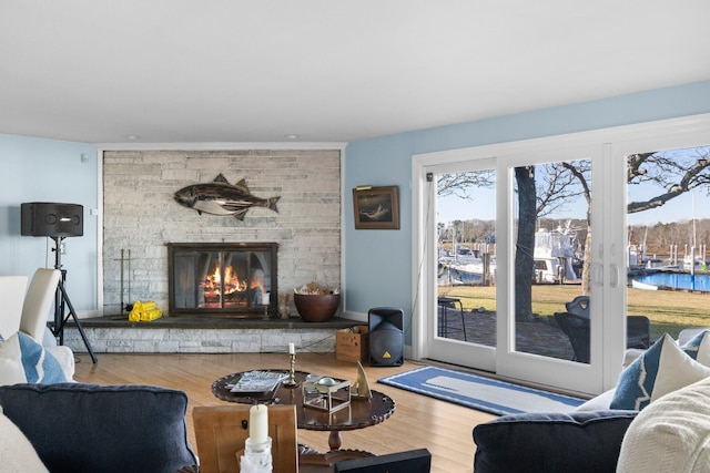 living room with a fireplace, light hardwood / wood-style flooring, and a water view