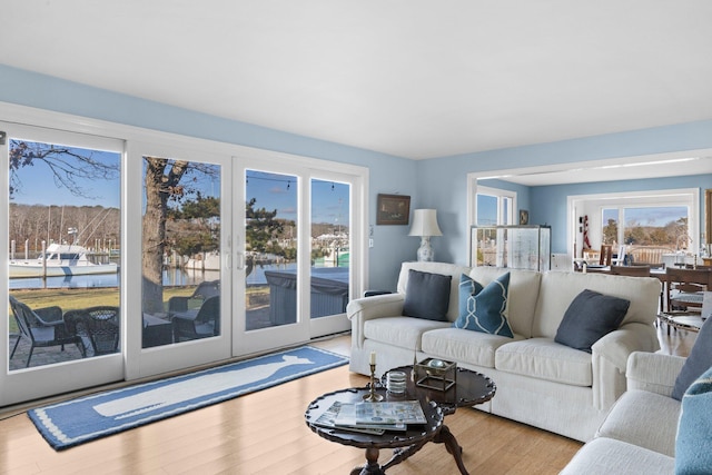 living room with light hardwood / wood-style floors and a wealth of natural light