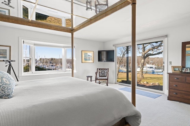 carpeted bedroom with access to exterior and multiple windows