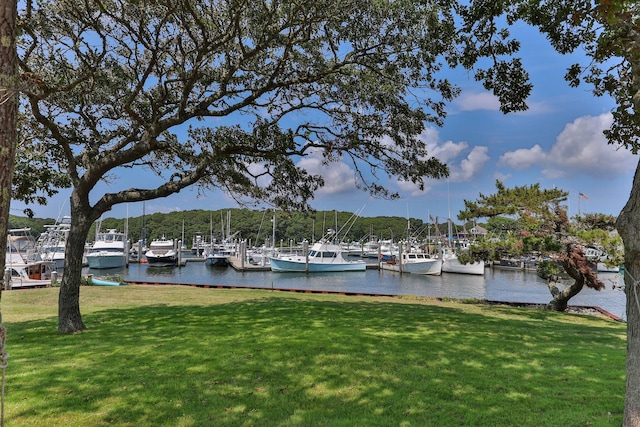 dock area with a yard and a water view
