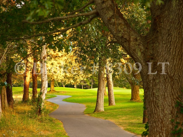 view of property's community with a lawn