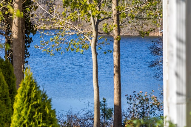 view of water feature