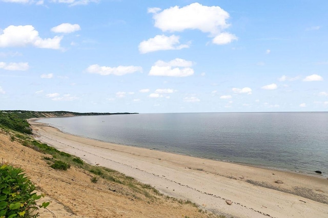 water view featuring a beach view