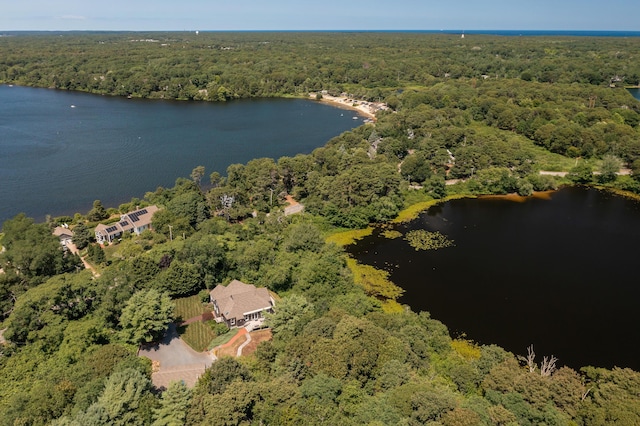 birds eye view of property featuring a water view and a view of trees