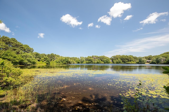 property view of water featuring a forest view