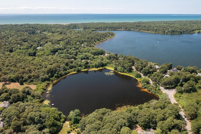 drone / aerial view featuring a forest view and a water view