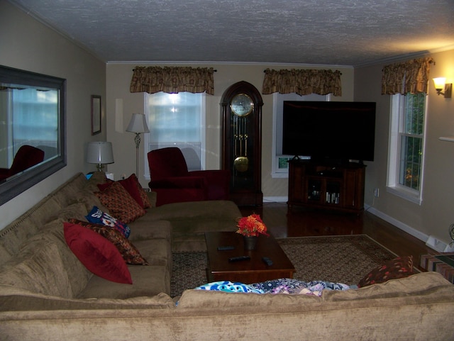 living area featuring crown molding, wood finished floors, baseboards, and a textured ceiling