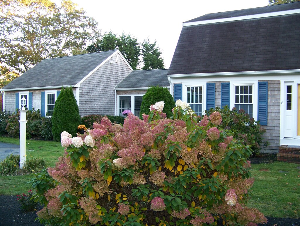 view of side of home featuring a lawn and a shingled roof