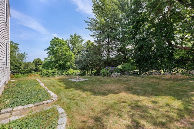 10 Briarfield Rd, South Dennis, MA 02660 - view of green lawn
