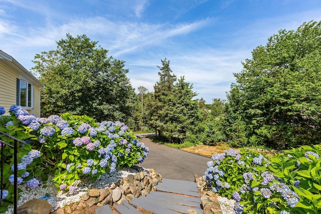 10 Briarfield Rd, South Dennis, MA 02660 - view of yard