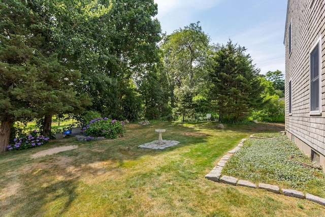 10 Briarfield Rd, South Dennis, MA 02660 - view of green lawn