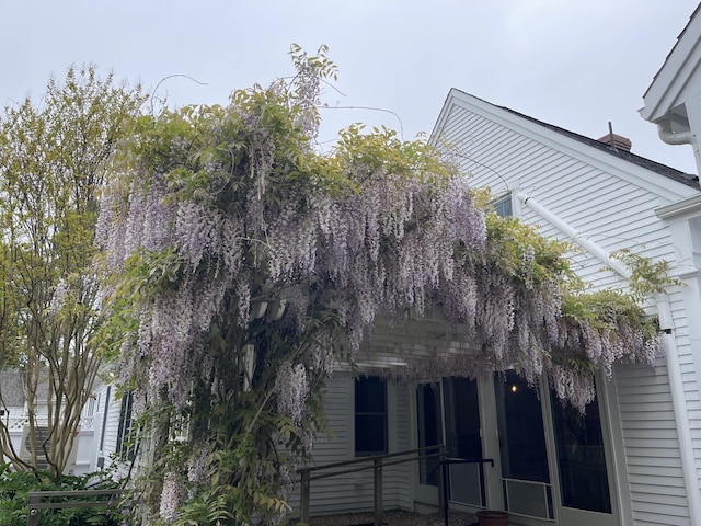 223 Main St, Wellfleet, MA 02667 - view of side of home