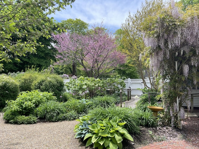 223 Main St, Wellfleet, MA 02667 - view of yard