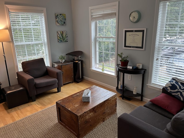 208 Irenes Way, Tisbury, MA 02568 - living room with light wood-type flooring and plenty of natural light