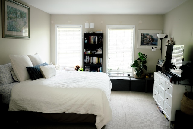 208 Irenes Way, Tisbury, MA 02568 - bedroom with light carpet and multiple windows