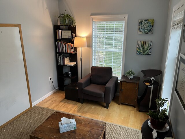 208 Irenes Way, Tisbury, MA 02568 - living area featuring light wood-type flooring