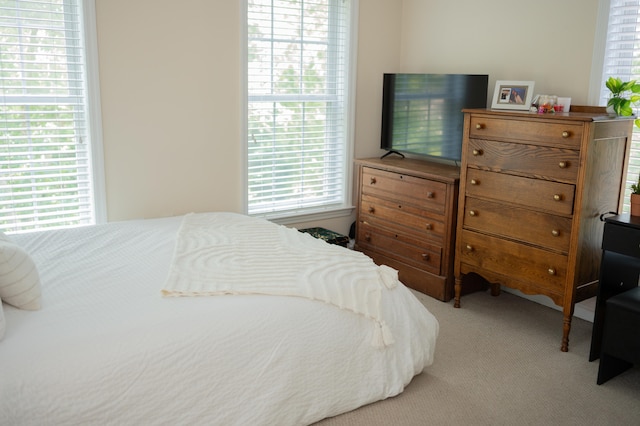 208 Irenes Way, Tisbury, MA 02568 - view of carpeted bedroom