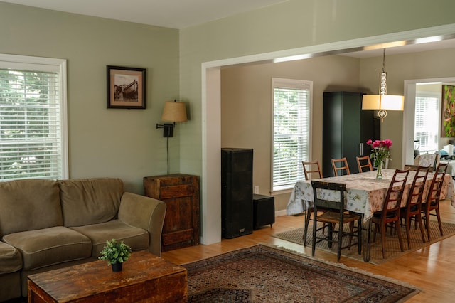 208 Irenes Way, Tisbury, MA 02568 - living room featuring light wood-style flooring and plenty of natural light
