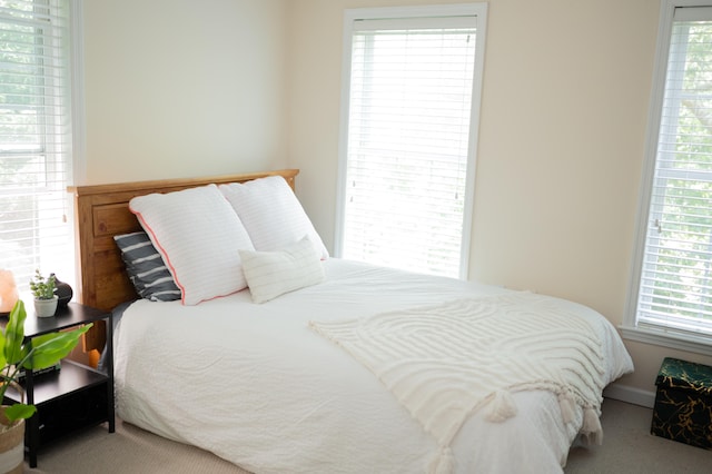 208 Irenes Way, Tisbury, MA 02568 - view of carpeted bedroom