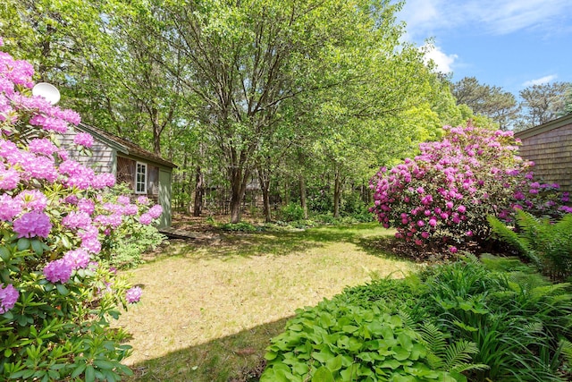 13 Try Works Rd, Truro, MA 02666 - view of yard